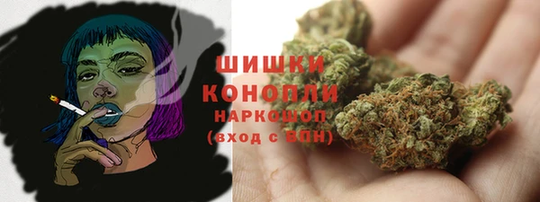 ГАЛЛЮЦИНОГЕННЫЕ ГРИБЫ Белоозёрский