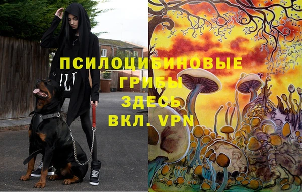 кокс Беломорск