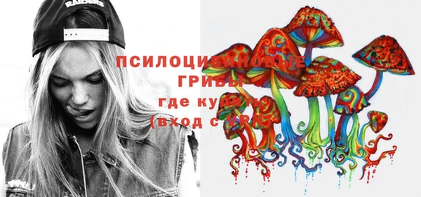 ГАЛЛЮЦИНОГЕННЫЕ ГРИБЫ Белоозёрский