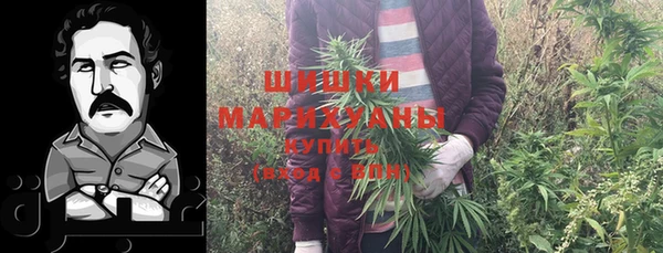 дурь Белокуриха