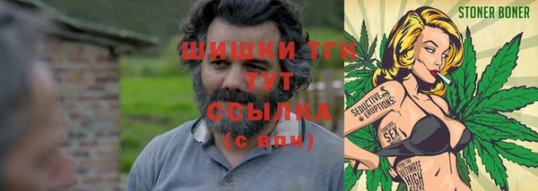 ГАЛЛЮЦИНОГЕННЫЕ ГРИБЫ Белоозёрский