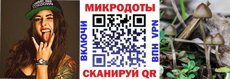 Галлюциногенные грибы Psilocybine cubensis МЕГА ссылка Короча