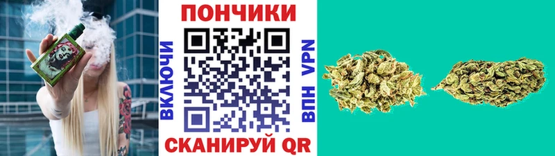 Каннабис планчик  Короча 